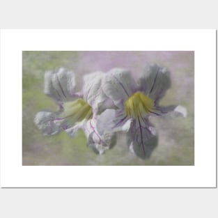 Lavender Trumpet Vine Flower Digital Art Posters and Art